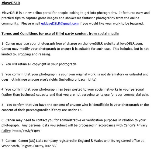 Verify Email